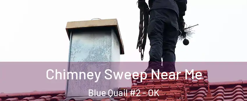 Chimney Sweep Near Me Blue Quail #2 - OK