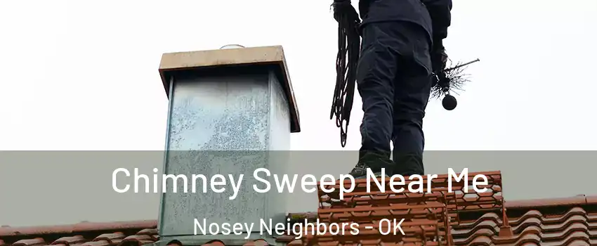Chimney Sweep Near Me Nosey Neighbors - OK