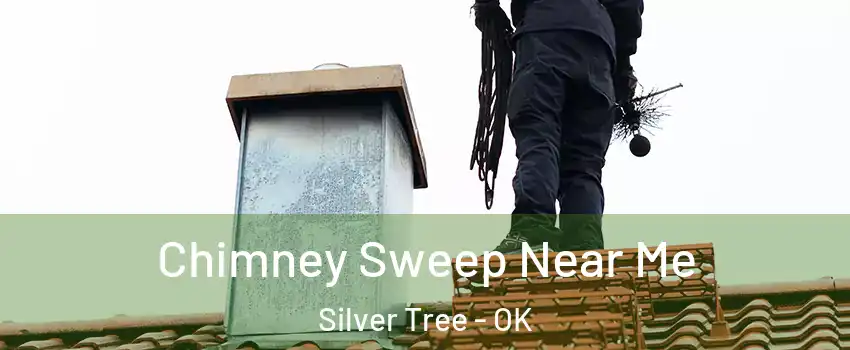 Chimney Sweep Near Me Silver Tree - OK