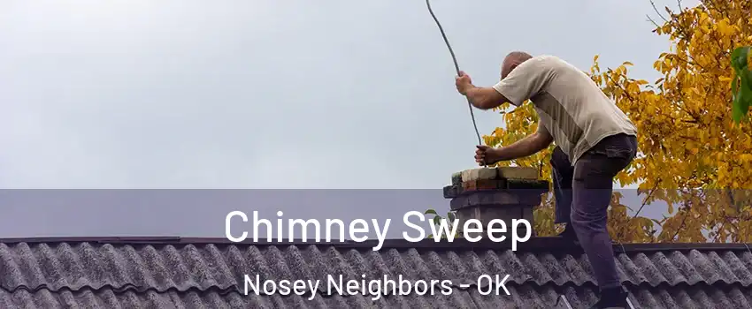 Chimney Sweep Nosey Neighbors - OK