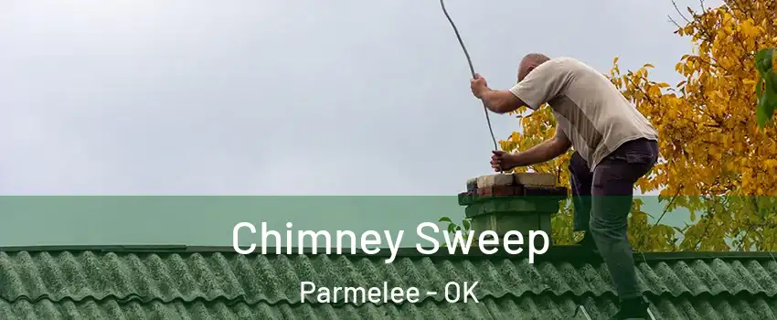 Chimney Sweep Parmelee - OK
