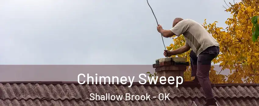 Chimney Sweep Shallow Brook - OK