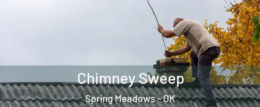 Chimney Sweep Spring Meadows - OK