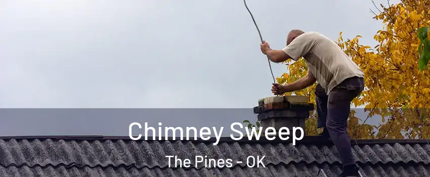 Chimney Sweep The Pines - OK
