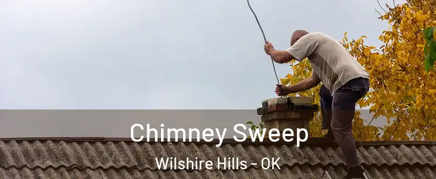 Chimney Sweep Wilshire Hills - OK