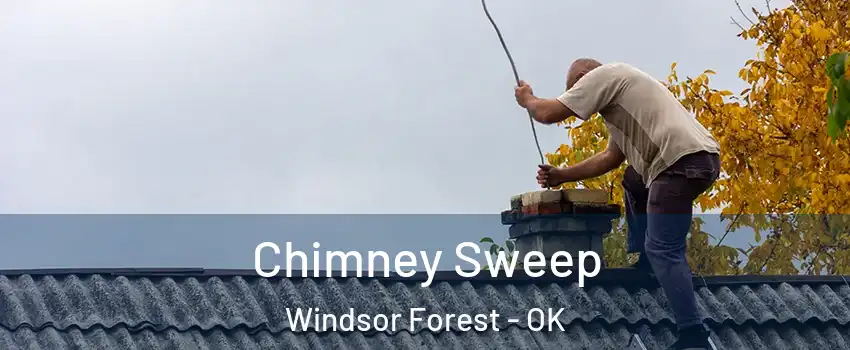 Chimney Sweep Windsor Forest - OK