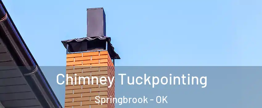 Chimney Tuckpointing Springbrook - OK