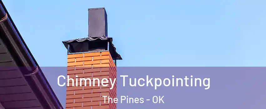 Chimney Tuckpointing The Pines - OK