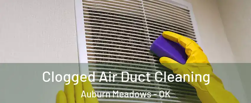 Clogged Air Duct Cleaning Auburn Meadows - OK