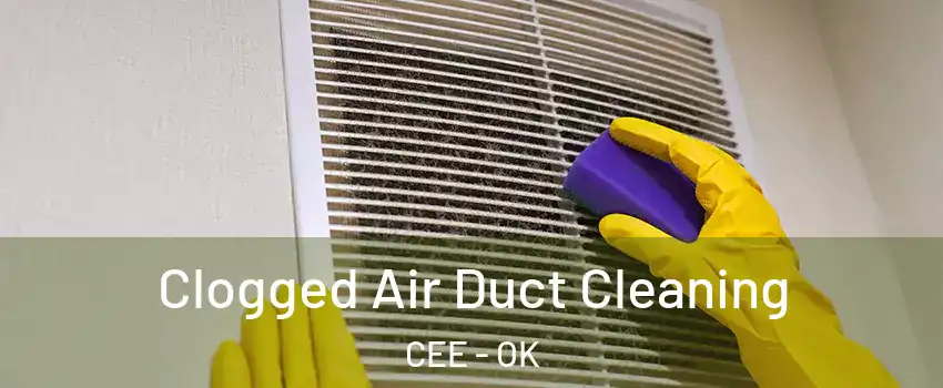Clogged Air Duct Cleaning CEE - OK