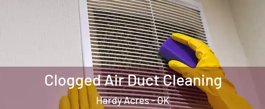 Clogged Air Duct Cleaning Hardy Acres - OK