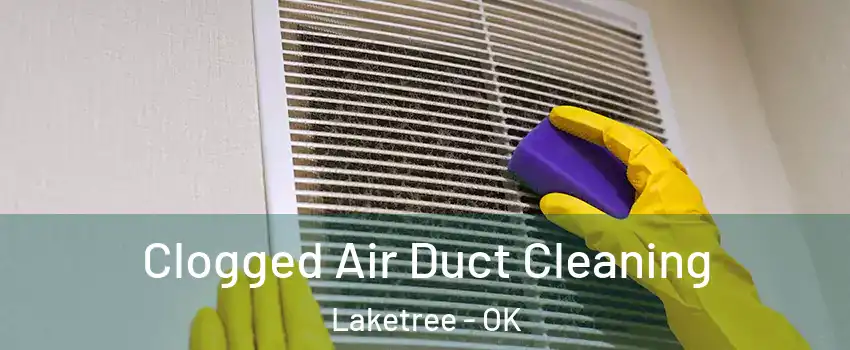 Clogged Air Duct Cleaning Laketree - OK