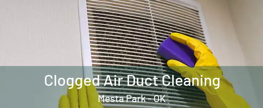 Clogged Air Duct Cleaning Mesta Park - OK