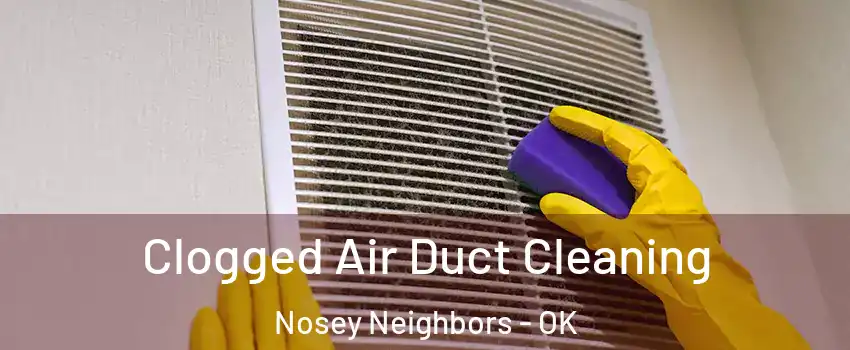 Clogged Air Duct Cleaning Nosey Neighbors - OK