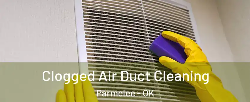 Clogged Air Duct Cleaning Parmelee - OK