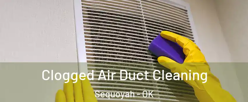Clogged Air Duct Cleaning Sequoyah - OK
