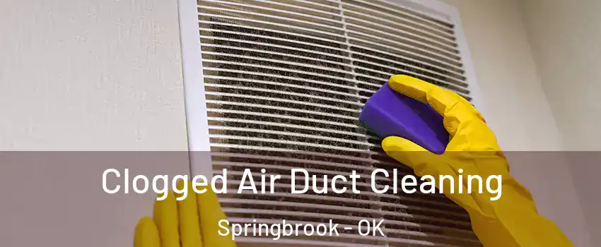 Clogged Air Duct Cleaning Springbrook - OK