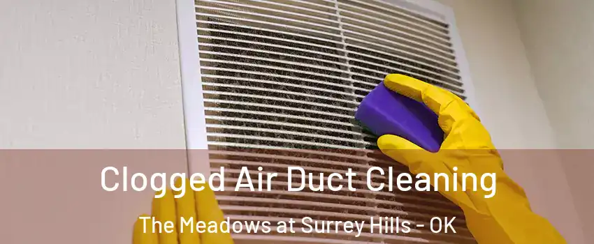 Clogged Air Duct Cleaning The Meadows at Surrey Hills - OK