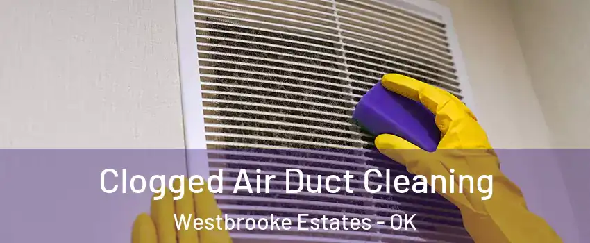 Clogged Air Duct Cleaning Westbrooke Estates - OK