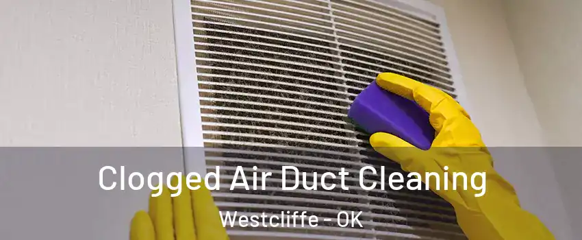 Clogged Air Duct Cleaning Westcliffe - OK
