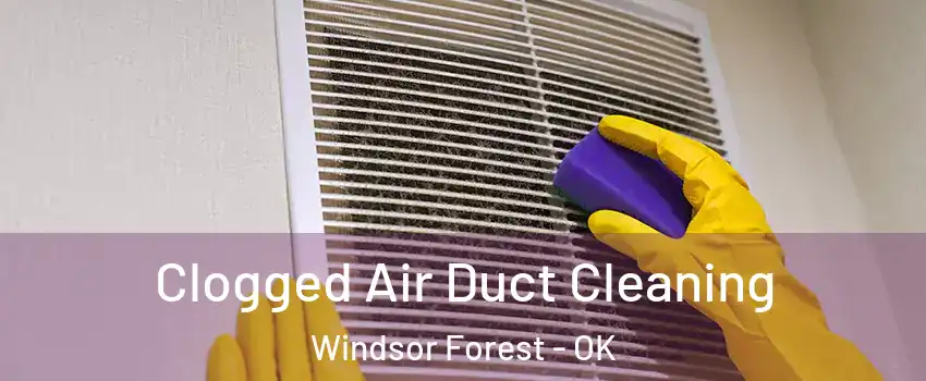 Clogged Air Duct Cleaning Windsor Forest - OK