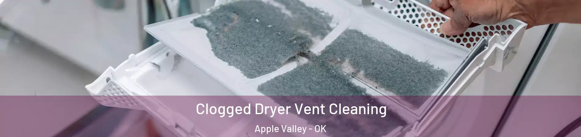 Clogged Dryer Vent Cleaning Apple Valley - OK