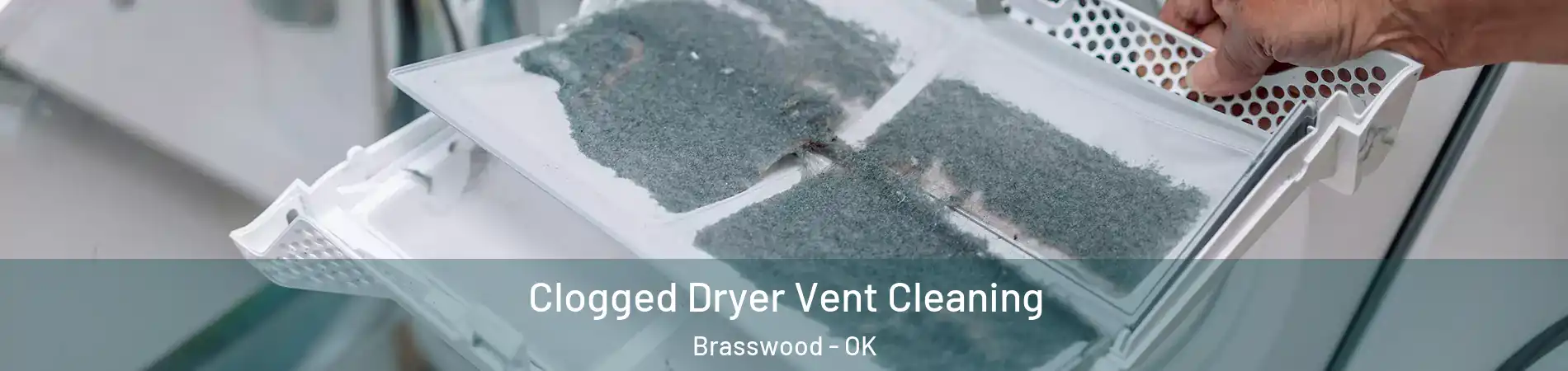 Clogged Dryer Vent Cleaning Brasswood - OK