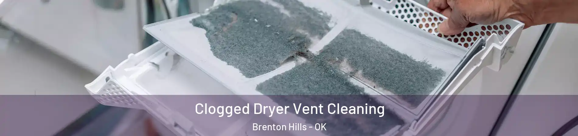 Clogged Dryer Vent Cleaning Brenton Hills - OK