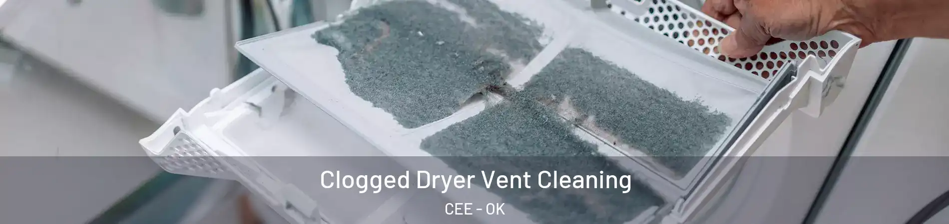 Clogged Dryer Vent Cleaning CEE - OK