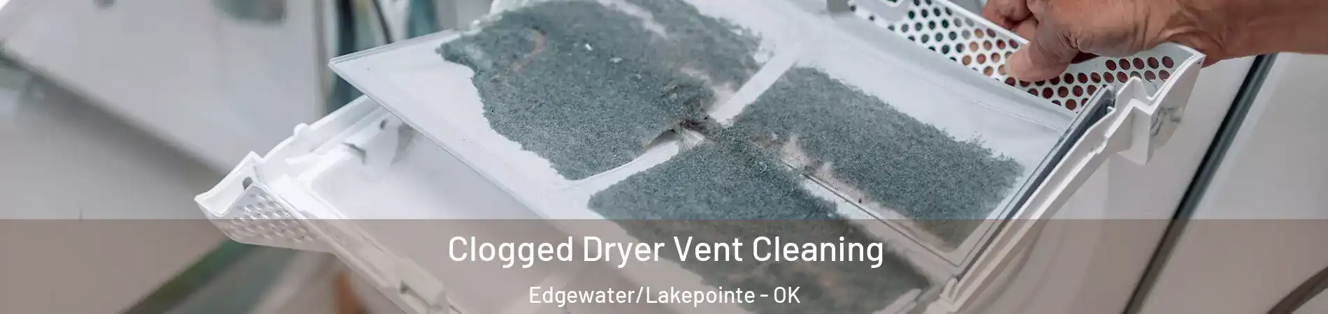 Clogged Dryer Vent Cleaning Edgewater/Lakepointe - OK