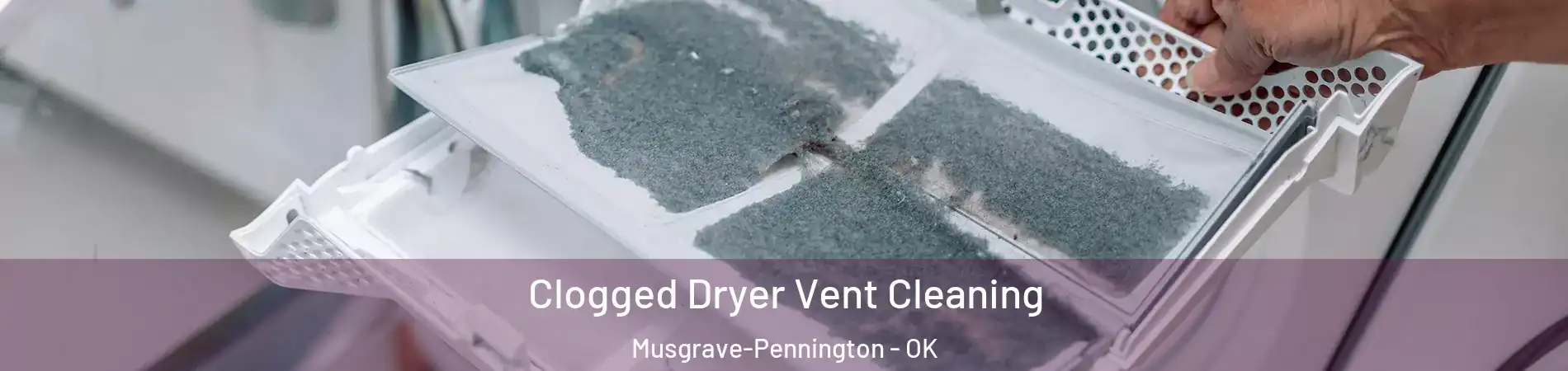 Clogged Dryer Vent Cleaning Musgrave-Pennington - OK