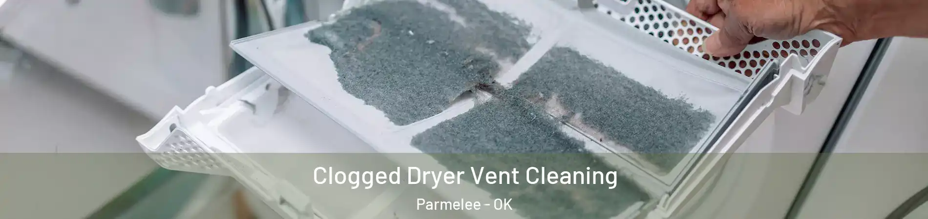 Clogged Dryer Vent Cleaning Parmelee - OK