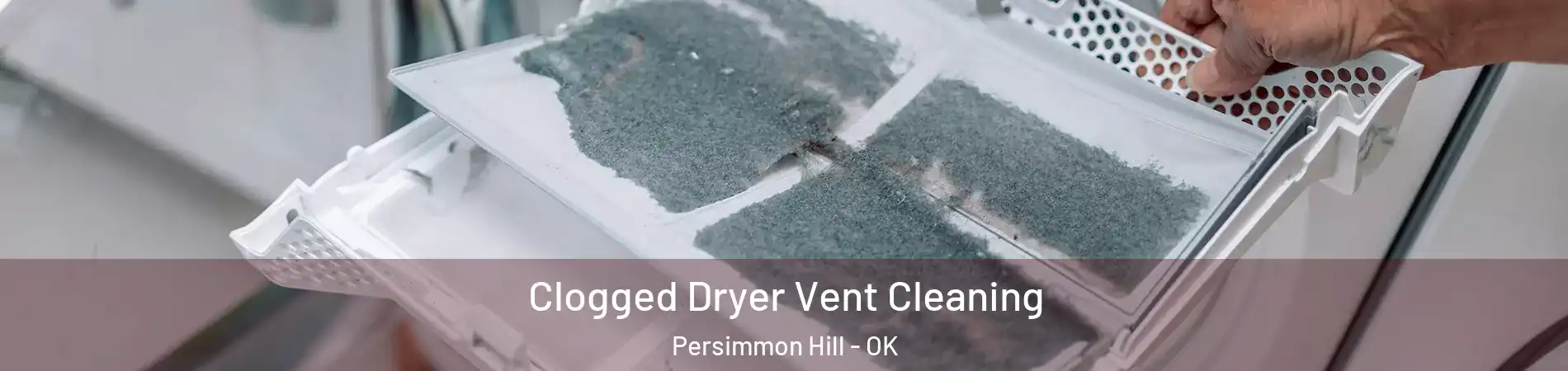 Clogged Dryer Vent Cleaning Persimmon Hill - OK