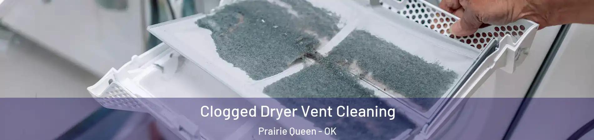 Clogged Dryer Vent Cleaning Prairie Queen - OK