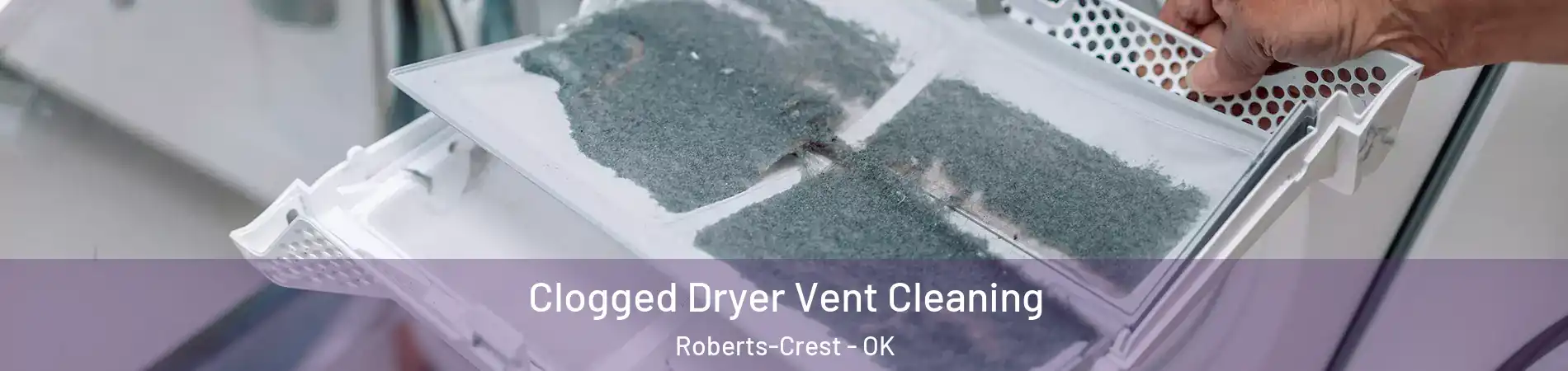 Clogged Dryer Vent Cleaning Roberts-Crest - OK