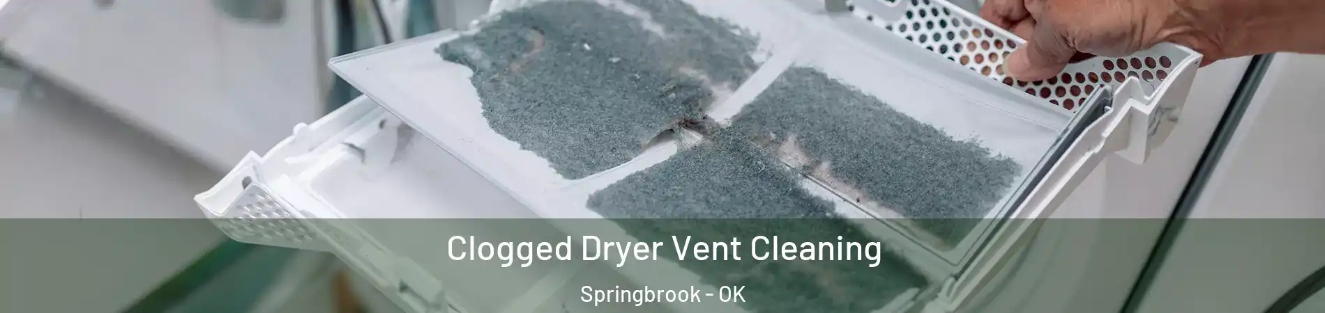 Clogged Dryer Vent Cleaning Springbrook - OK