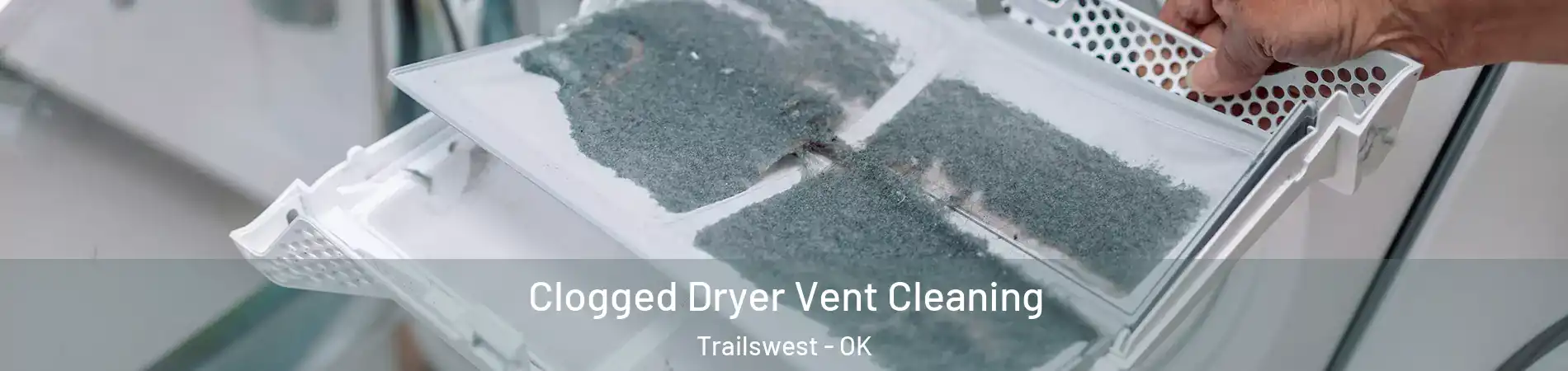 Clogged Dryer Vent Cleaning Trailswest - OK