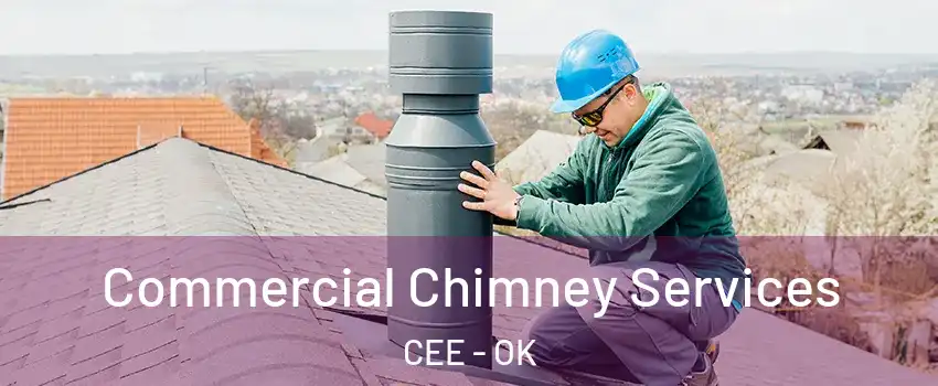 Commercial Chimney Services CEE - OK