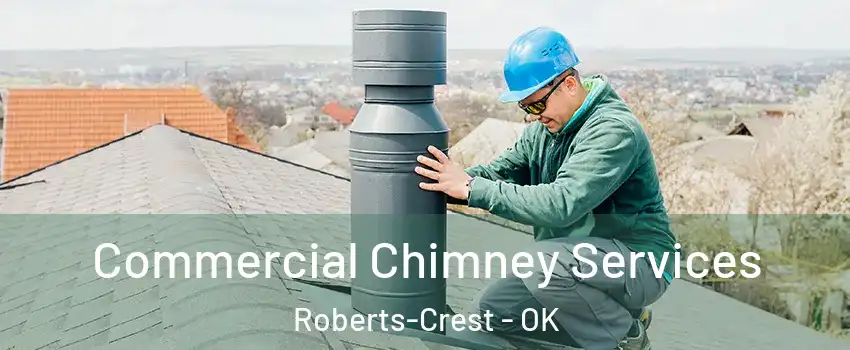 Commercial Chimney Services Roberts-Crest - OK