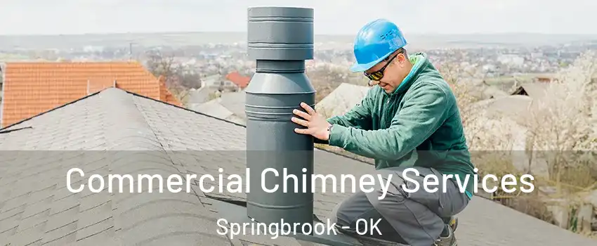 Commercial Chimney Services Springbrook - OK