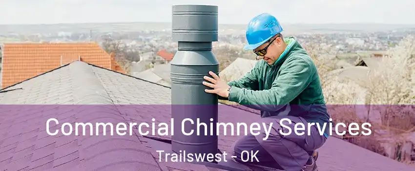 Commercial Chimney Services Trailswest - OK