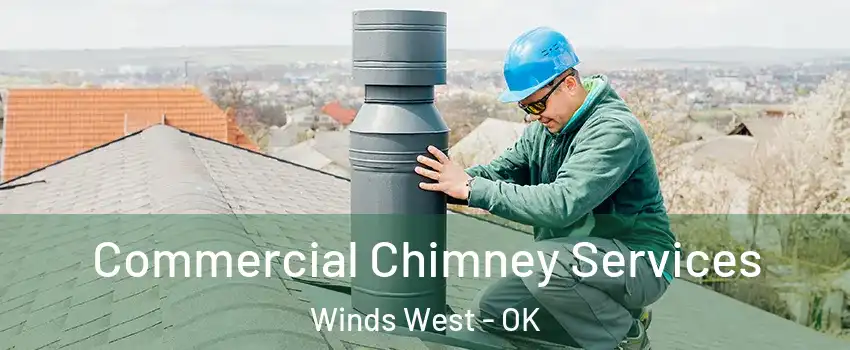 Commercial Chimney Services Winds West - OK