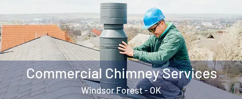 Commercial Chimney Services Windsor Forest - OK