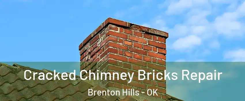 Cracked Chimney Bricks Repair Brenton Hills - OK