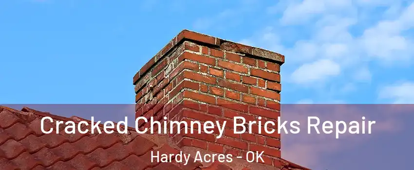 Cracked Chimney Bricks Repair Hardy Acres - OK