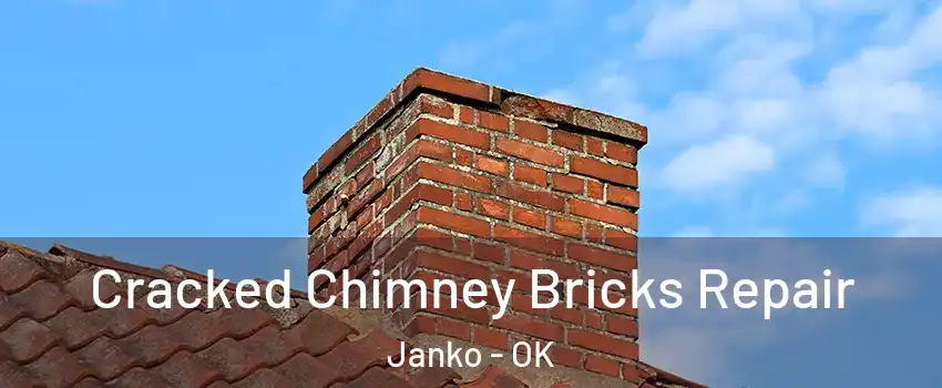 Cracked Chimney Bricks Repair Janko - OK