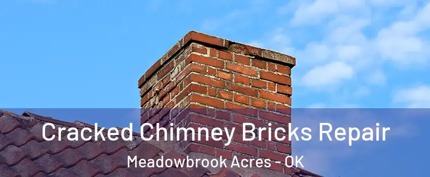 Cracked Chimney Bricks Repair Meadowbrook Acres - OK