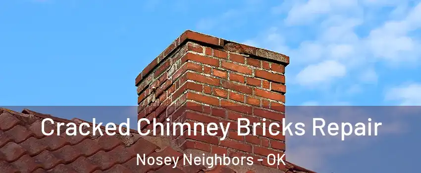 Cracked Chimney Bricks Repair Nosey Neighbors - OK