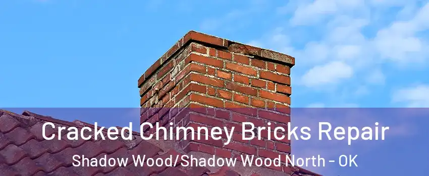 Cracked Chimney Bricks Repair Shadow Wood/Shadow Wood North - OK