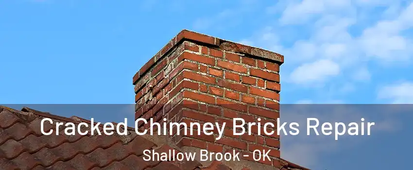 Cracked Chimney Bricks Repair Shallow Brook - OK